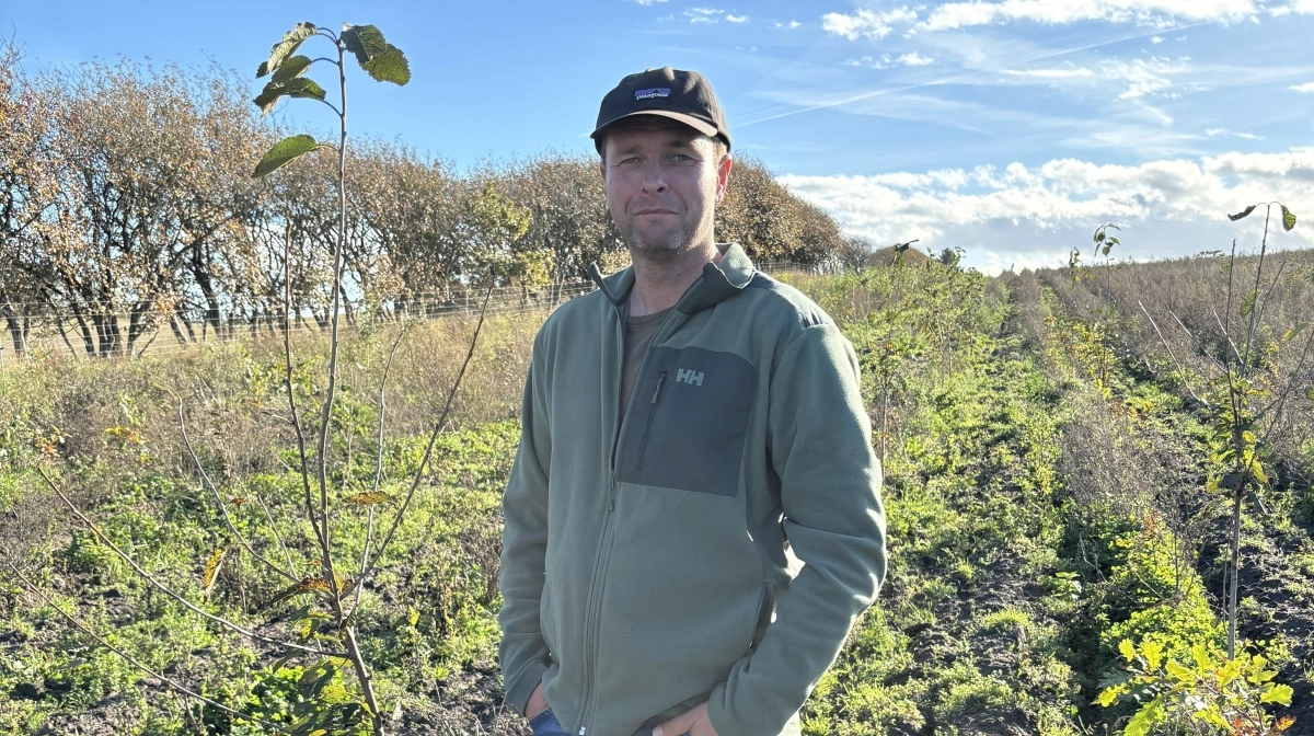 Tommy Pedersen har rejst skov udenfor Gl. Skørping, og træerne er kommet godt fra start i den første sæson. Fotos: Klimaskovfonden