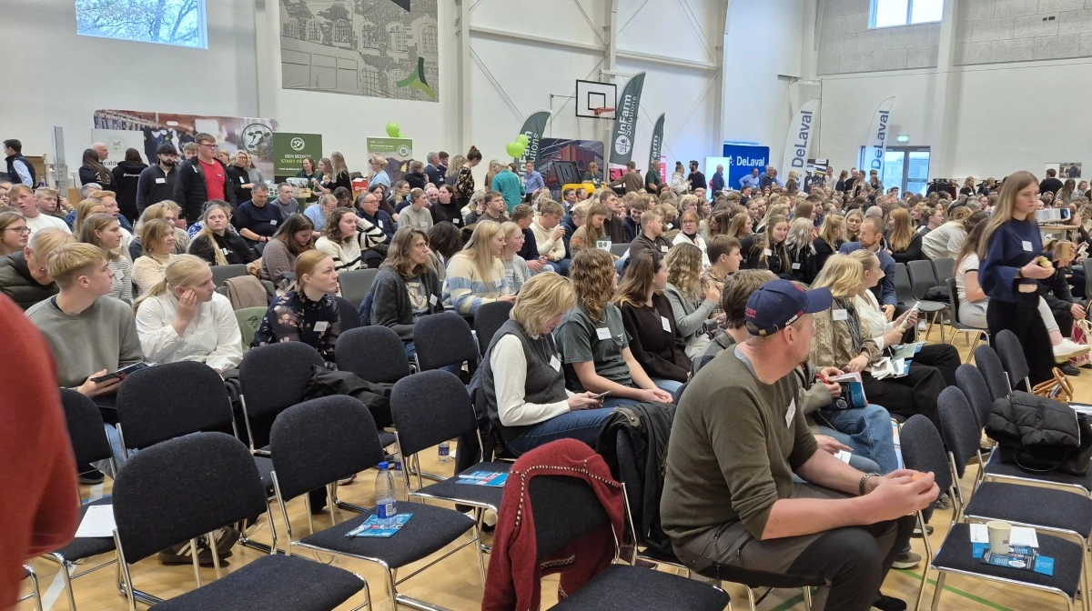 Rekordmange var samlet til Kalvens Dag i Viborg. Fotos: Tenna Bang