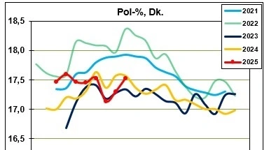 Både sukkerprocent og renhed af roerne ligger fortsat pænt. Rød streg viser 2025-målingerne. Kilde: Nordic Sugar