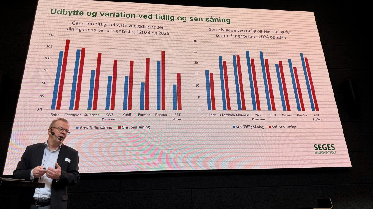 Leif Hagelskjær viser, at selv om der er væsentlige forskelle mellem hvedesorterne, er der klare fordele ved sen såning. Både i form af højere udbytte og en mindre spredning. 