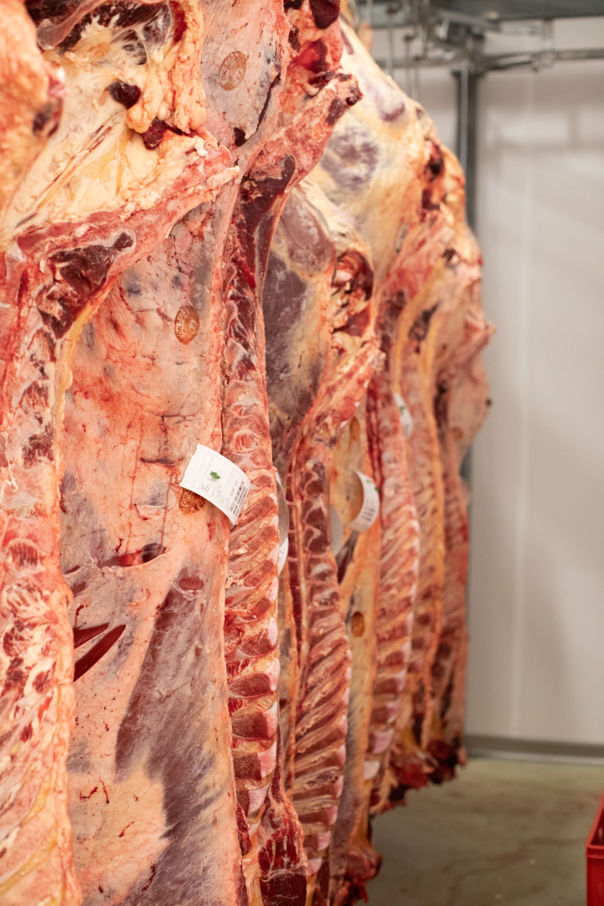 Nu er alle de store private slagterier under FødevareDanmark og tæller Danepork, Tican og Himmerlandskød.