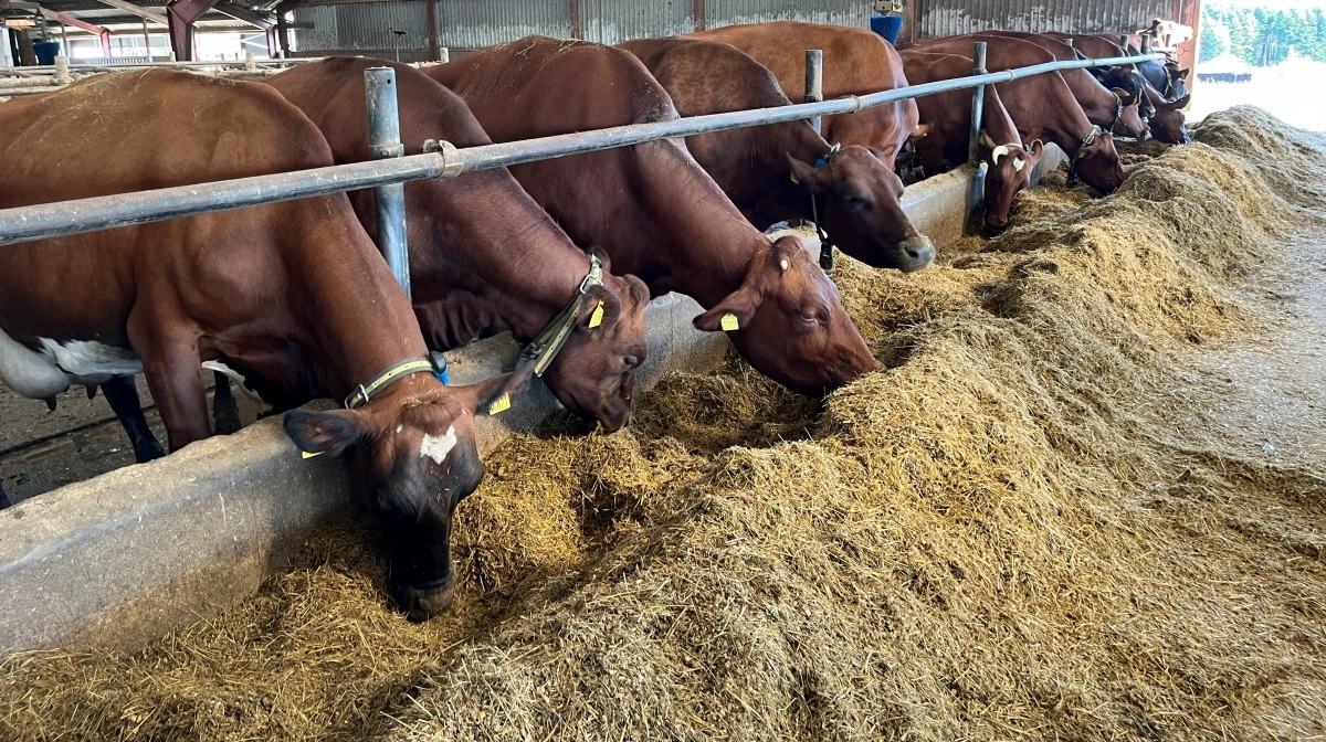 Orffa styrker sit videnskabelige fokus med det nye brand »Orffa. The science in you feed«. Arkivfoto: Jesper Hallgren