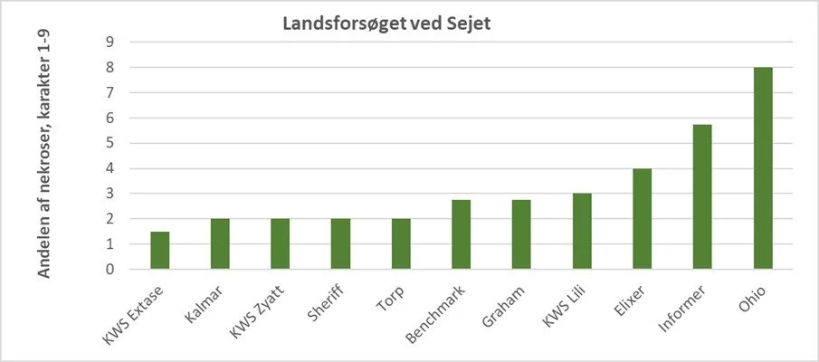 Andelen af bladnekroser, karakter 1-9, hvor 1 = ingen nekroser. Jo færre nekroser, jo grønnere og sundere er sorten. Gennemsnit af fire gentagelser. Registreringer udført i Landsforsøget med vinterhvedesorter beliggende på Sejet Planteforædling ved Horsens. Uddrag af sorter, KWS Extase sammenlignet med de mest dyrkede sorter til høst 2019.