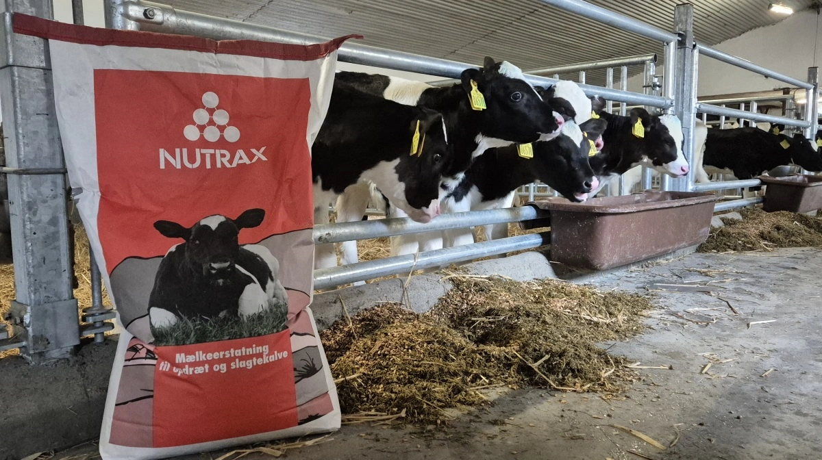 Nutrax har kun fokus på foder til unge dyr, hvilket man ser som en fordel. Arkivfoto: Tenna Bang
