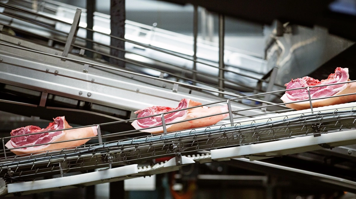 Danish Crown Beef hæver noteringer for flere kategorier, mens salget holder sig stabilt trods efterårets normalt stille marked. Foto: Danish Crown