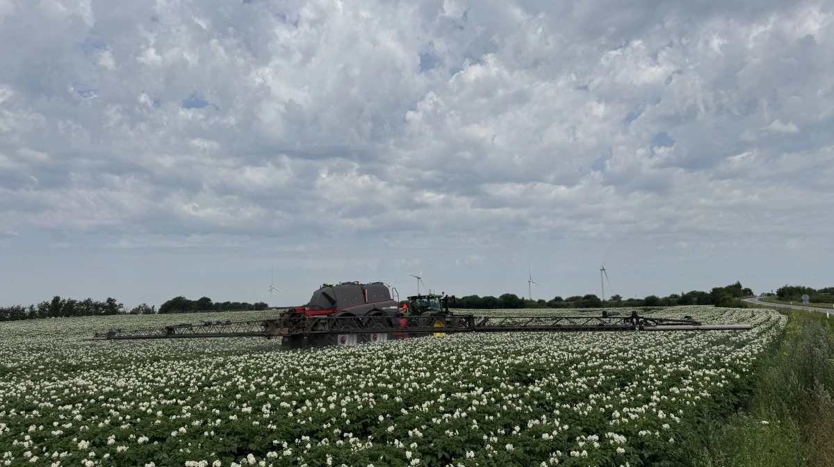 Skimmelstrategien i 2026 vil forventeligt ligne de foregående års vellykkede strategier i store træk. Men derefter ændrer mulighederne sig voldsomt. Arkivfoto