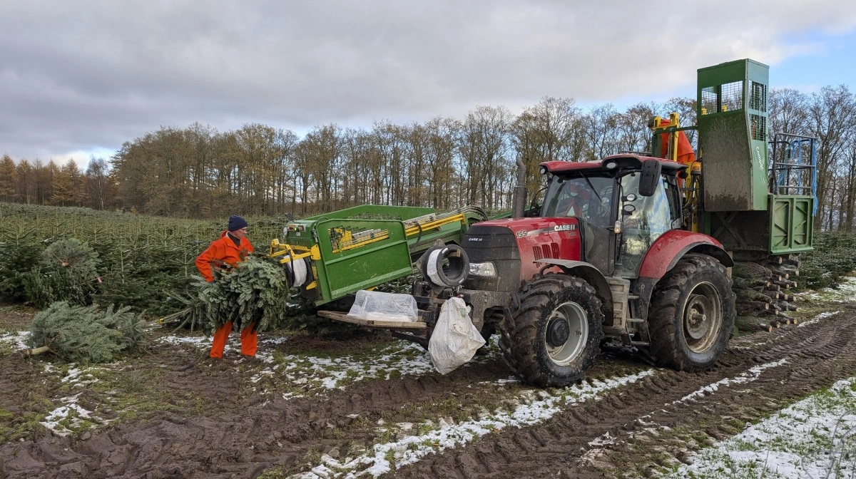 Hvidkilde har egne maskiner til alle opgaver, på nær pakningen i marken, som udføres af en entreprenør.
