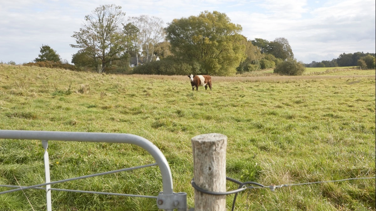 - Der er ingen grund til at så mistillid om, hvorvidt der er styr på EU-godkendelserne i det grønne trepartsarbejde, skriver Jeppe Bruus (S) i sit indlæg. Arkivfoto: Erik Hansen