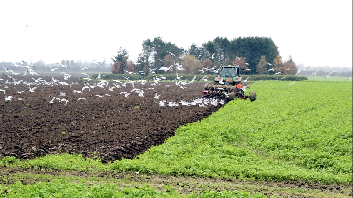 - Hvis samme virksomhed både er rådgiver og parthaver for udformningen af reguleringsmodellen, og samtidigt er eneste mulige leverandør af de følgende løsninger og produkter, må Jeppe (Bruus, red.) spørge sig selv, om han har styr på monopolet, skriver Niels Hauge Mikkelsen i sit debatindlæg. Arkivfoto