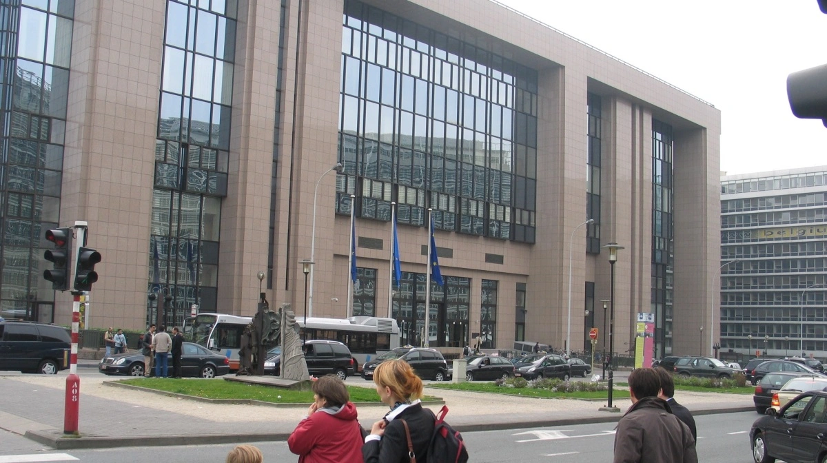 Et flertal i EU's Ministerråd er imod kortere transporttid af levende dyr. Arkivfoto: Anne Wolfenberg