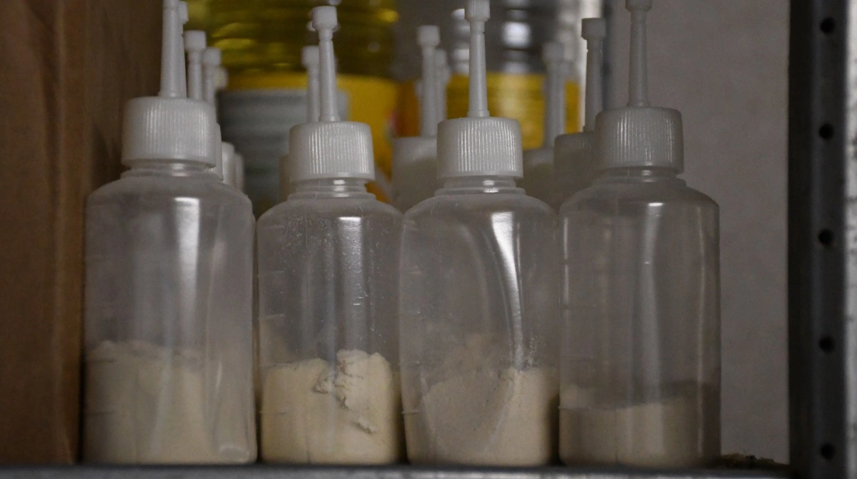 Proteinpulver står klar i sædflasker.