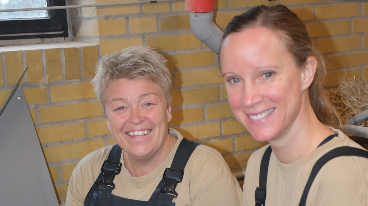 - Jeg er af den overbevisning, at hvis soen ellers fungerer, så vælger grisene hende. Mælken i skålene betragter jeg mere som en dessert, påpeger Mette Lundsgaard (tv), der her ses sammen med dyrlæge Sanne C. Leth fra Porcus.