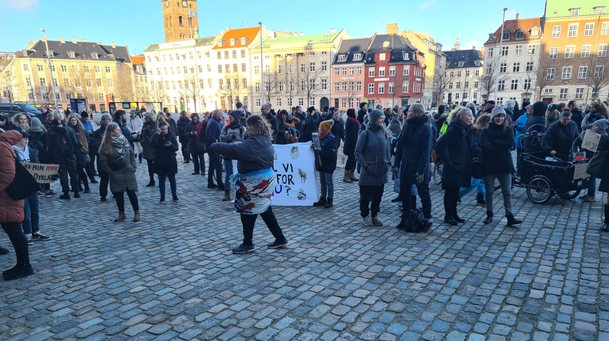 Flere dyrevelfærdsgrupper demonstrerer på lørdag på Christiansborg Slotsplads imod »svineindustrien« på baggrund af TV 2’s dokumentar »Hvem passer på grisene?«. På billedet er der dog tale om en helt anden demonstration.