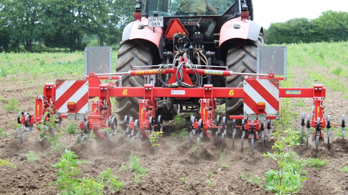 De fynske foreninger opfordrer medlemmer til at overveje, hvordan de kan bidrage til omlægningsarbejder med for eksempel skovrejsning. Arkivfoto: Morten Ipsen