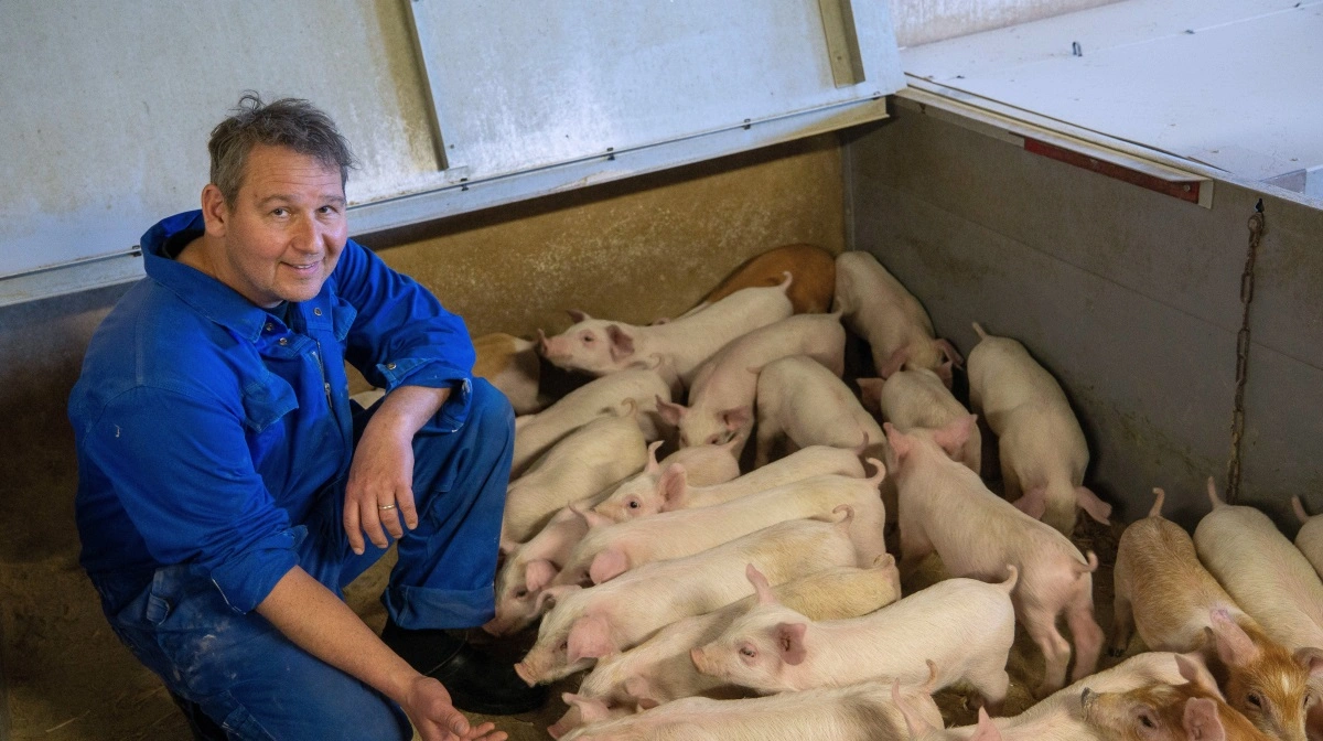 - Vi har sunde og raske grise, siger Henrik Larsen.