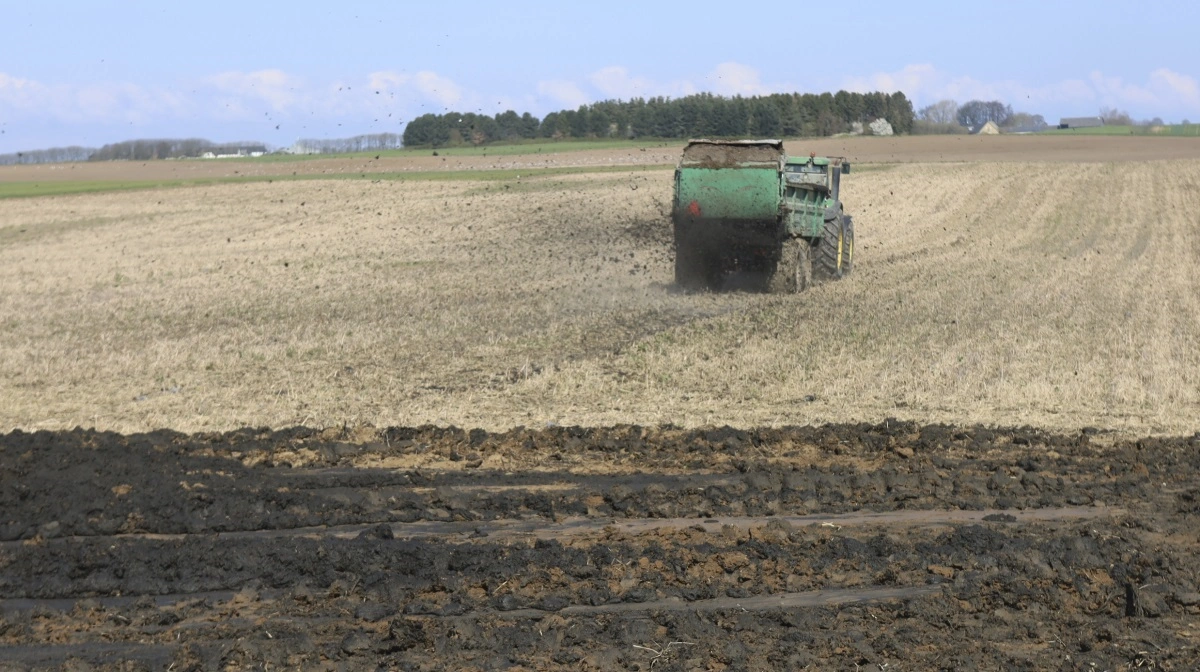 Spildevandsslam bidrager til jordens sundhed, og risikoen ved tilførsel ligger på niveau med svinegylle, lyder nogle af hovedkonklusionerne i en ny rapport. Arkivfoto: Erik Hansen