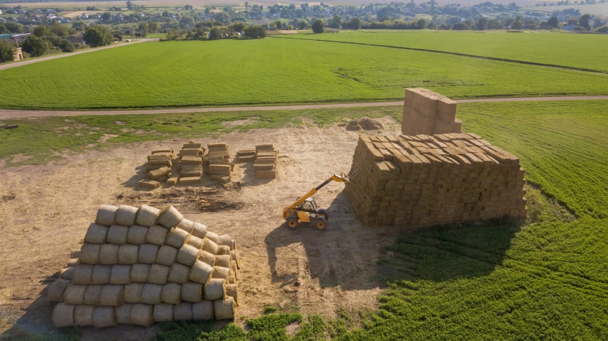 Green 2x får over 100 millioner kroner fra bl.a. Equinor til et pilotanlæg på Møn, første skridt mod et kæmpe halmbaseret biogasanlæg. Foto: Colourbox