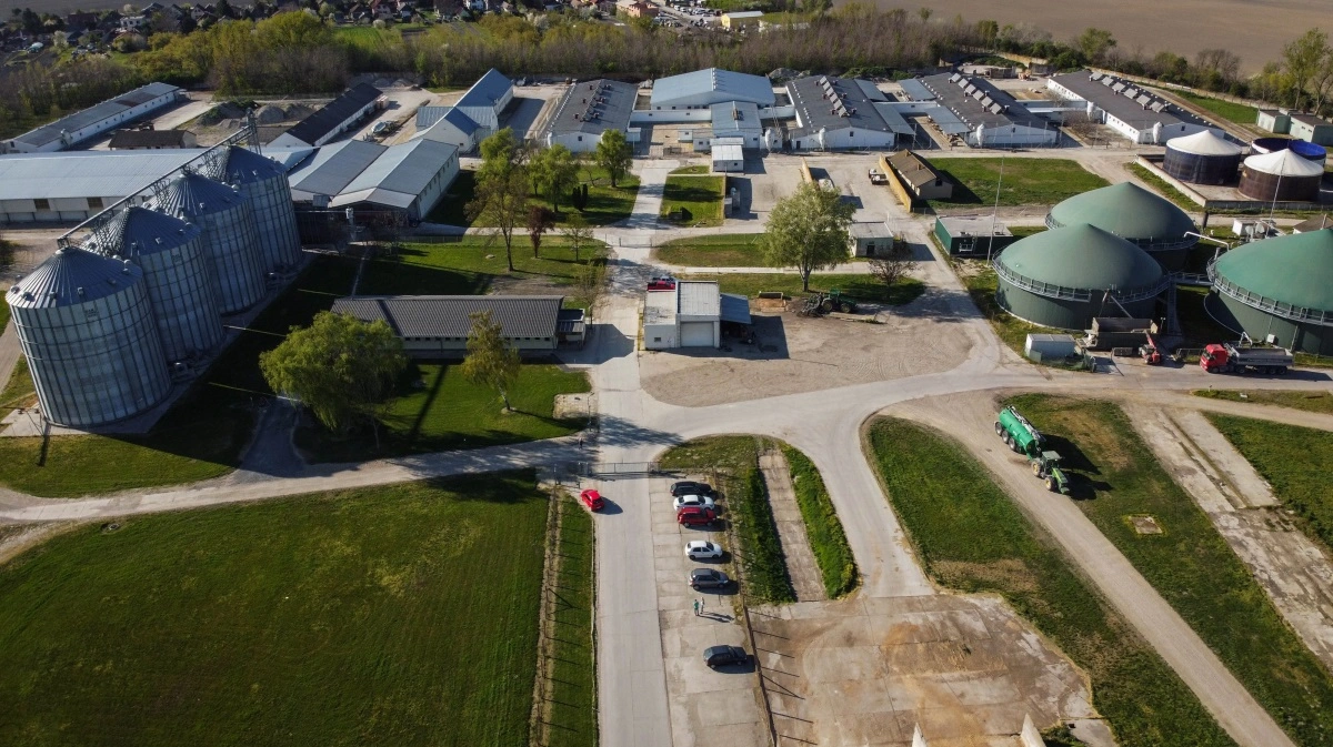 FirstFarms rammes af mund- og klovsyge og lave priser, hvilket giver et underskud på 6 millioner kroner, men mælkeproduktionen ventes normaliseret i 2026. Her ses en af FirstFarms gårde i Slovakiet. Arkivfoto