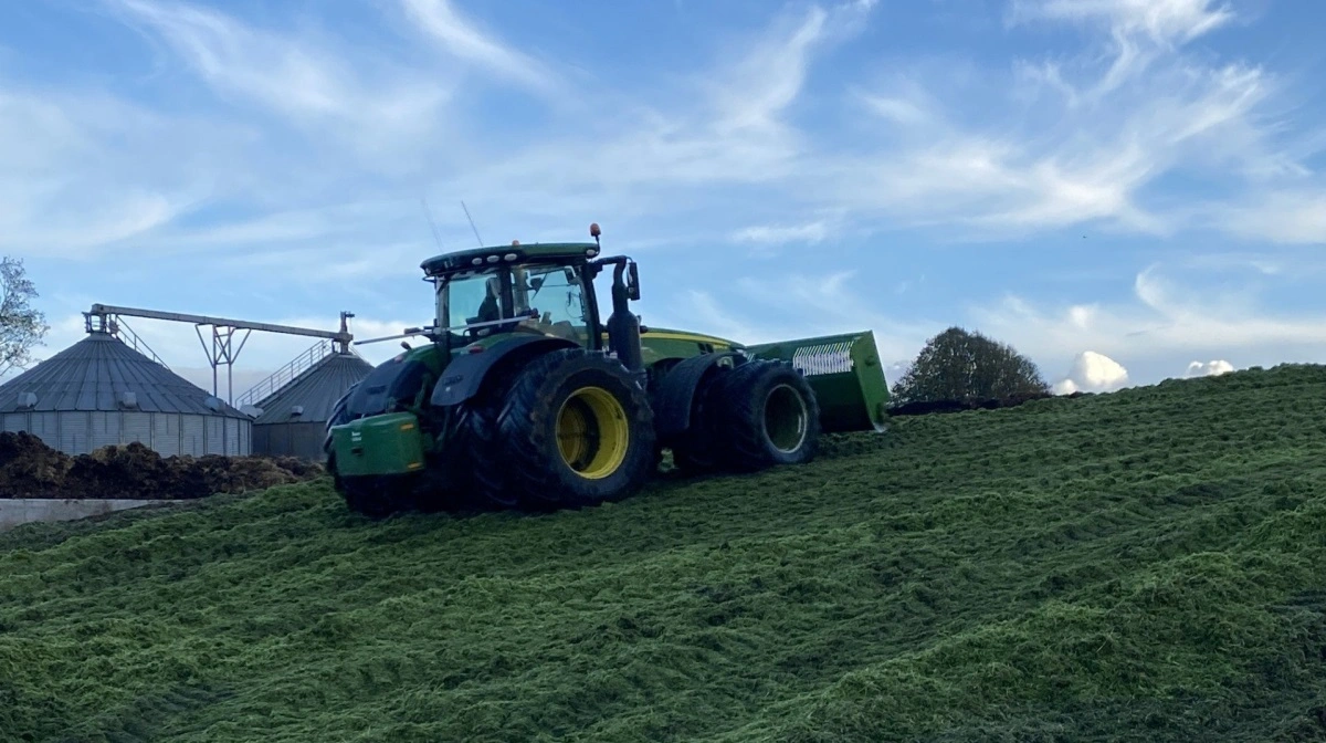 Olieræddiken blev lagt ovenpå ensilagestakken til biogasanlægget på Lykkeslund. 