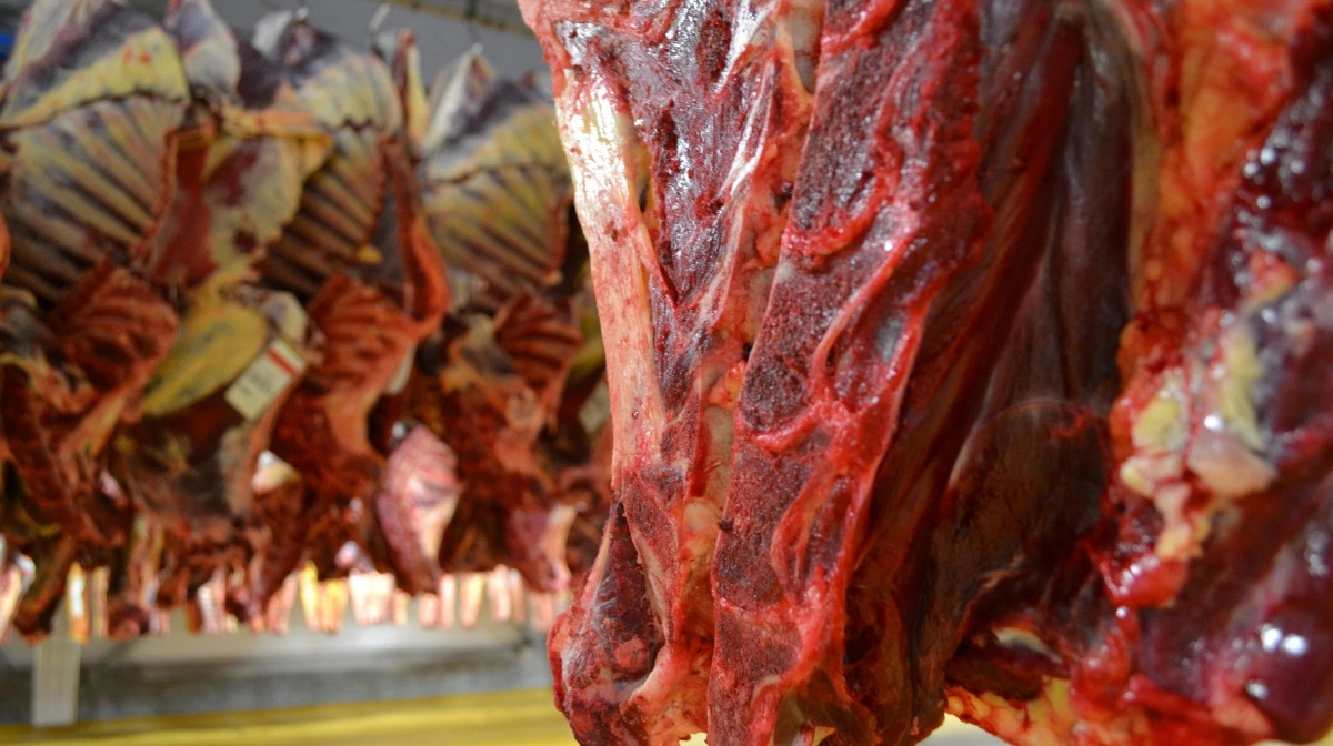 Verden efterspørger mere kød. Arkivfoto