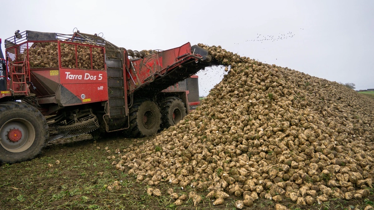 Roeoptageren har kørt mange timer de seneste uger i Agrifos på Vestlolland.