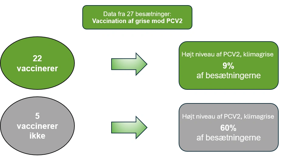 Resultater af vaccination af grise mod PCV2 i 27 besætninger. Kilde: LVK