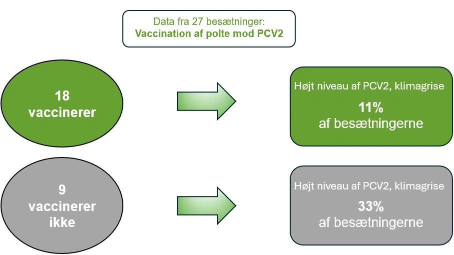 Resultater af vaccination af polte mod PCV2 i 27 besætninger. Kilde: LVK