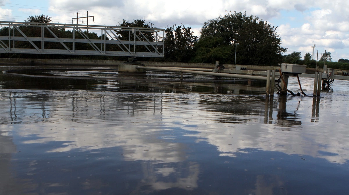 Mens debatten ofte handler om kvælstof og iltsvind, peger det nye studie på, at spildevand også rummer biologiske risici, der kan vokse sig større på sigt. Arkivfoto