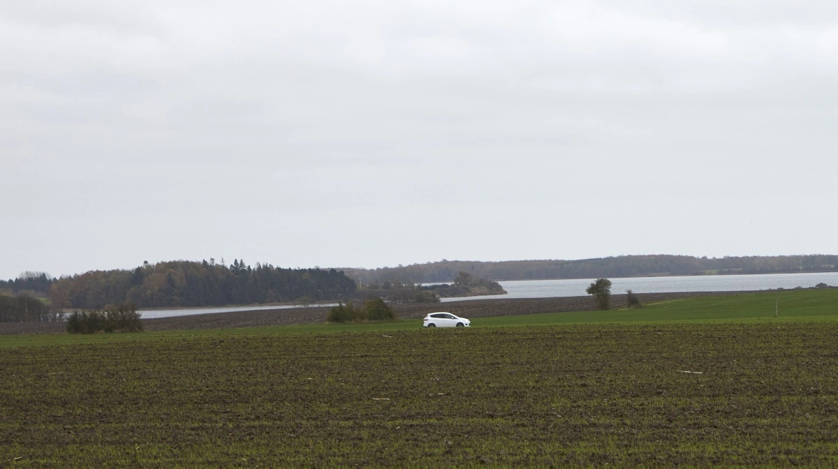 Politikerne bør vælge den model, der er mest omkostningseffektiv og trods alt nemmest for erhvervet at implementere, mener skribenterne. Her er det Gamborg Fjord ved Vestfyn. Arkivfoto: Erik Hansen