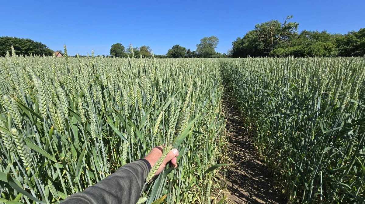 Arkivfoto: Jørgen P. Jensen