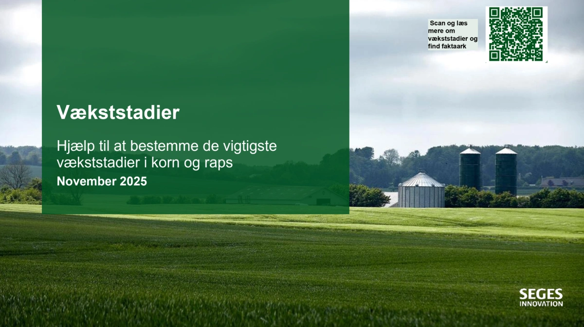 Det nye materiale til at øve vækststadier i korn og raps. Kilde: Seges Innovation