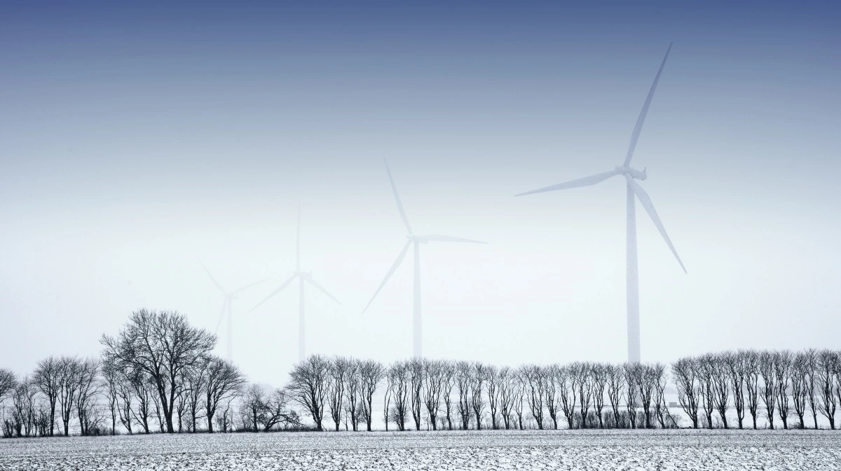 EU’s vintersæd er godt etableret, men vinterfrost og vejrudsigter i Centraleuropa kan hurtigt ændre markedet. Arkivfoto