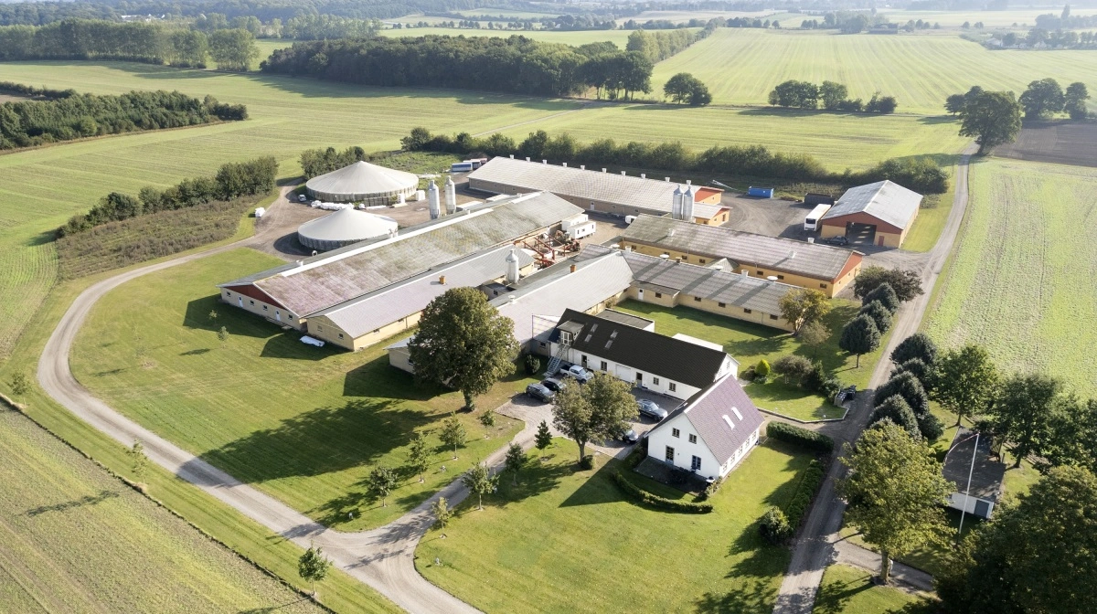 Egebjerg og Politården blev sat til salg i oktober måned. Nu er gården solgt. Fotos: EDC Landbrug Poul Erik Bech