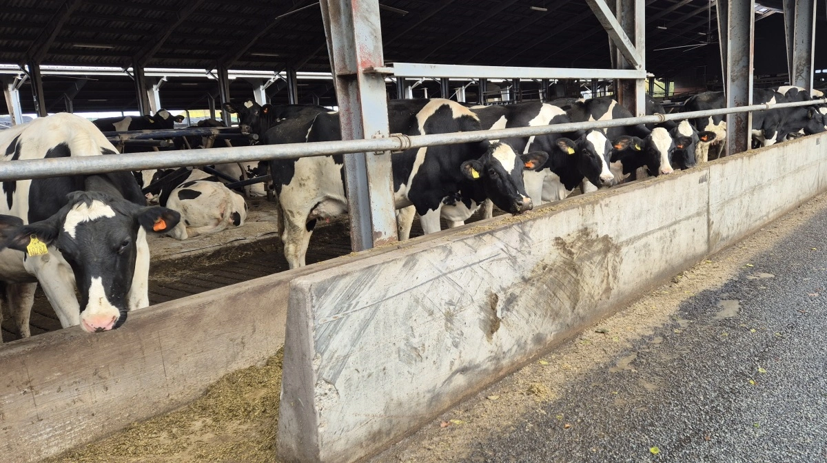 Forhandlingerne tog omkring otte måneder, og prisen endte i 106 millioner kroner. Parret overtog den 23. juli 2023.