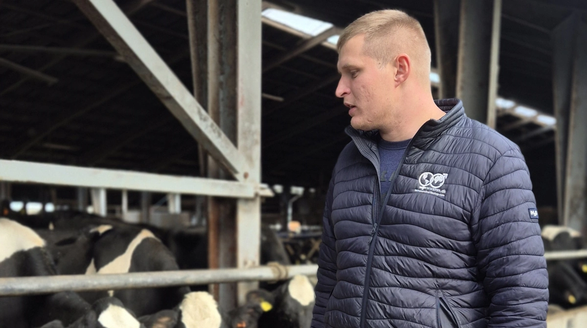 Fårup Overgaard ApS har allerede udvidet med 90 malkekøer. Selskabet ejer en kvieejendom, som også huser goldkøer, samt tre ejendomme, der blandt andet bebos af medarbejdere. Dertil kommer en griseejendom, som er lejet ud. Og så driver maskinstationen de omkring 500 hektar jord.