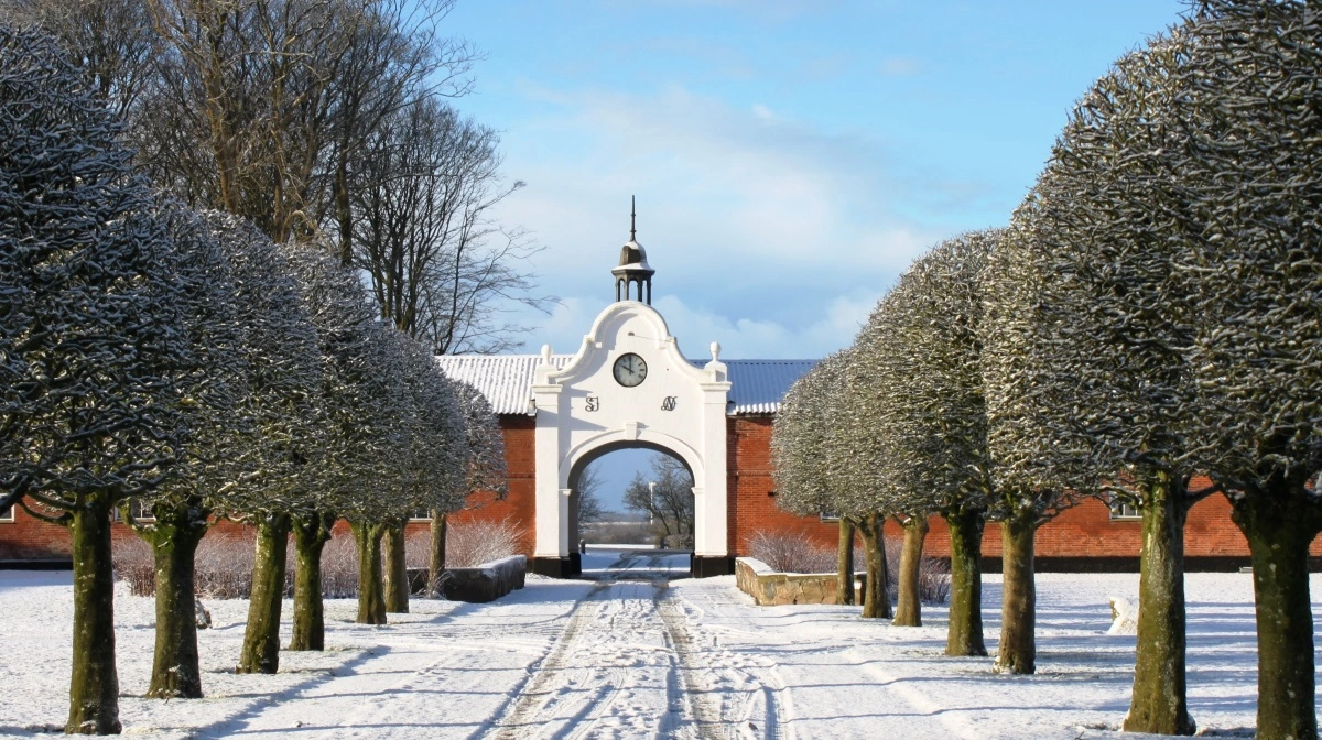 Fredag den 12. december starter julemarkedet på Ausumgaard ved Hjerm. Gården lover ægte gårdstemning, over 90 stadeholdere, masser af børneaktiviteter og live julemusik i de gamle bygninger. Foto: Ausumgaard