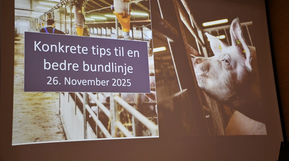 De fremmødte havde mulighed for at få helt konkrete tips med hjem fra mødet.