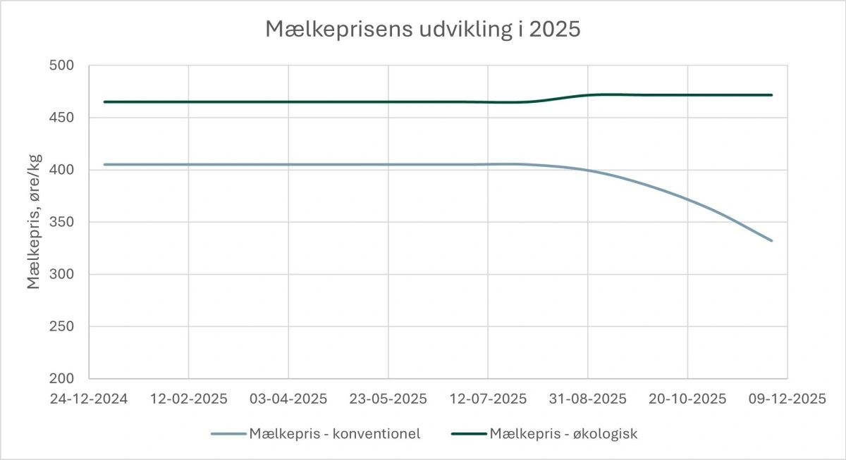 Figur 1: Mælkeprisens udvikling i 2025 for konventionel og økologisk mælk. Kilde: Arla