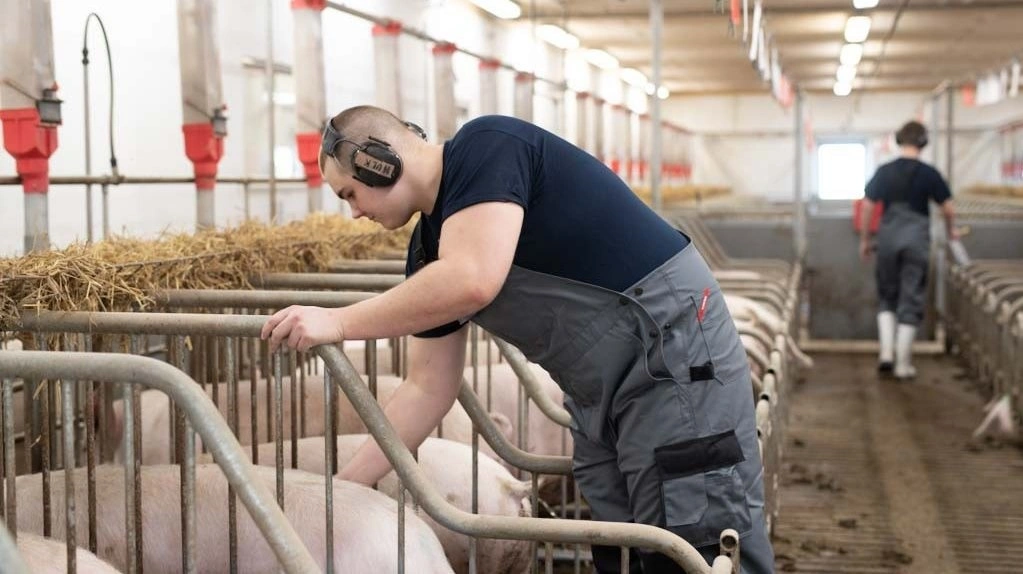 Dorte Bak Himmelstrup peger på det stigende problem, det er, at eleverne ikke vælger griselinjen på landbrugsskolerne. Foto: Simon Meyer