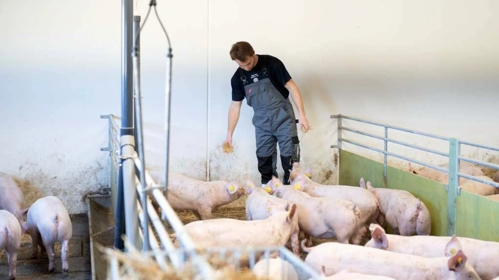 Der er i alt 30 medarbejdere hos Kokkenborg ApS. Foto: Simon Meyer