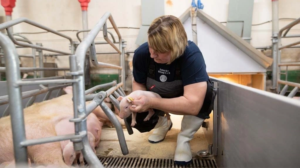 Udover planlægning er der også et fagligt indlæg i forbindelse med det ugentlige tavlemøde. Det kan for eksempel være om faringsovervågning eller ammesøer. Foto: Simon Meyer