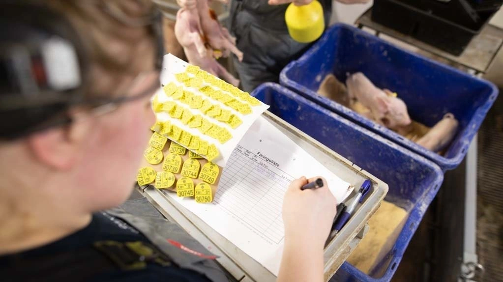 - Det er fedt, at det er opformering. Det betyder også, at der bliver lavet nogen flere tiltag og optimeringer af driften, fortæller Karl Skov Lassen. Foto: Foto: Simon Meyer