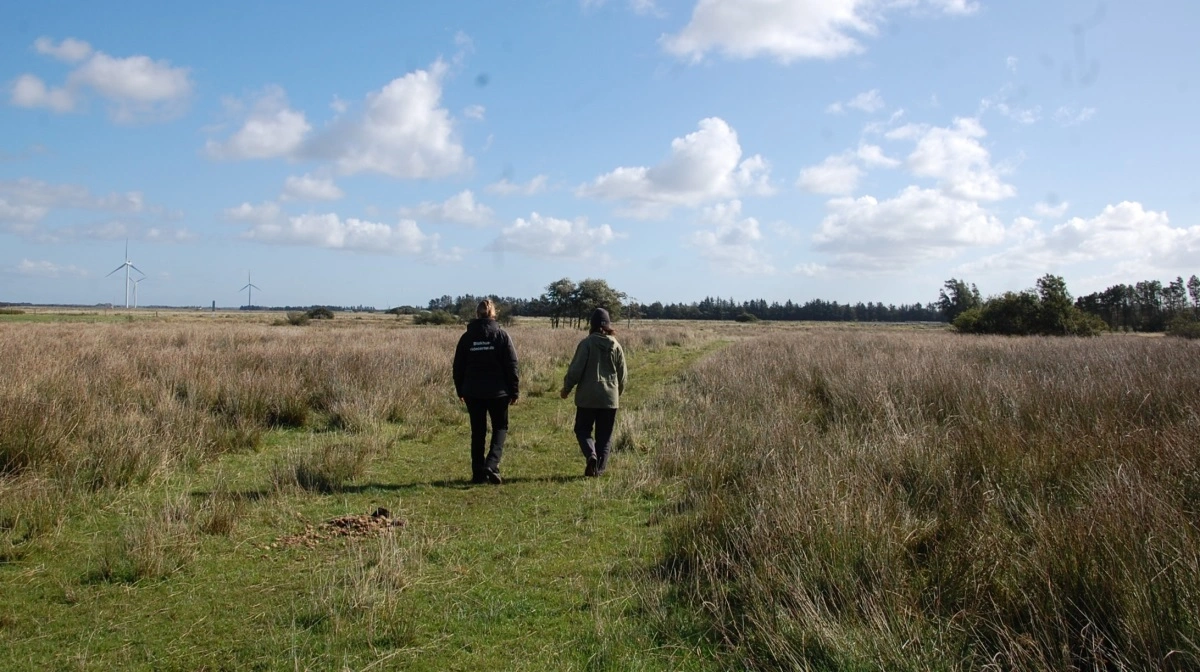 Jammerbugt Kommune vil indkalde til et netværksmøde for nuværende og interesserede naturplejere til foråret.