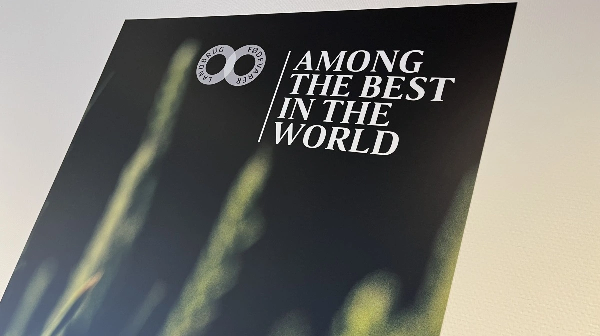 Landbrug & Fødevarer har godt og vel en halv snes ansatte i Bruxelles. Alle produktionserhvervene i fødevaresektoren er repræsenteret i bygningen.