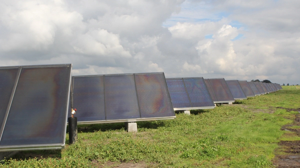 BioCirc ser ud til at kunne etablere en stor solcellepark i Jammerbugt i projektet Jammerbugt Go Green. Arkivfoto: Anne Wolfenberg