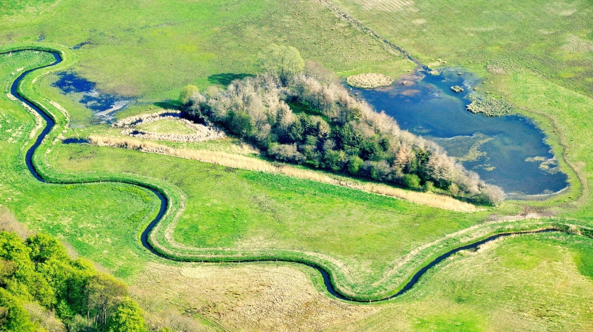 Landbrugerne vil fra 2027 få en kvote for deres udledninger ud fra, hvor meget deres vandopland skal begrænse udledningerne af kvælstof til vandet. Foto: Colourbox