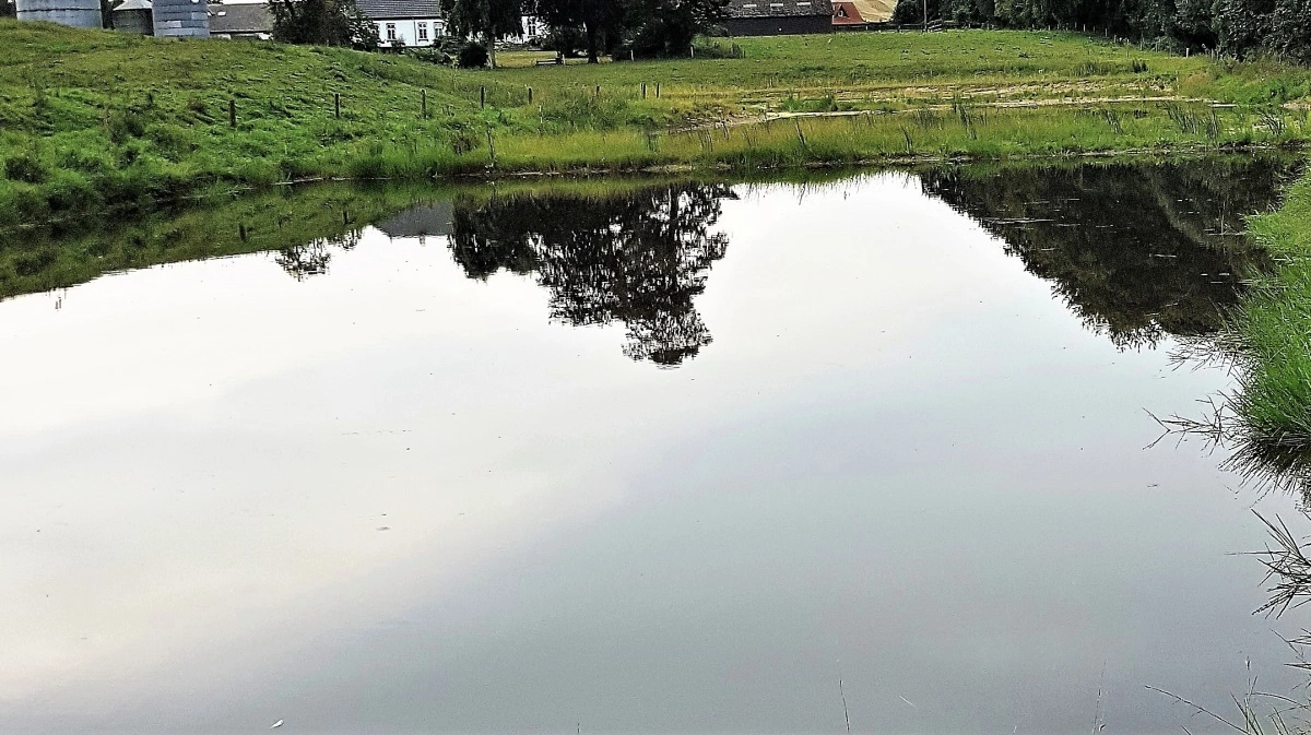 Der er udsigt til langt flere minivådområder i de kommende år. Arkivfoto