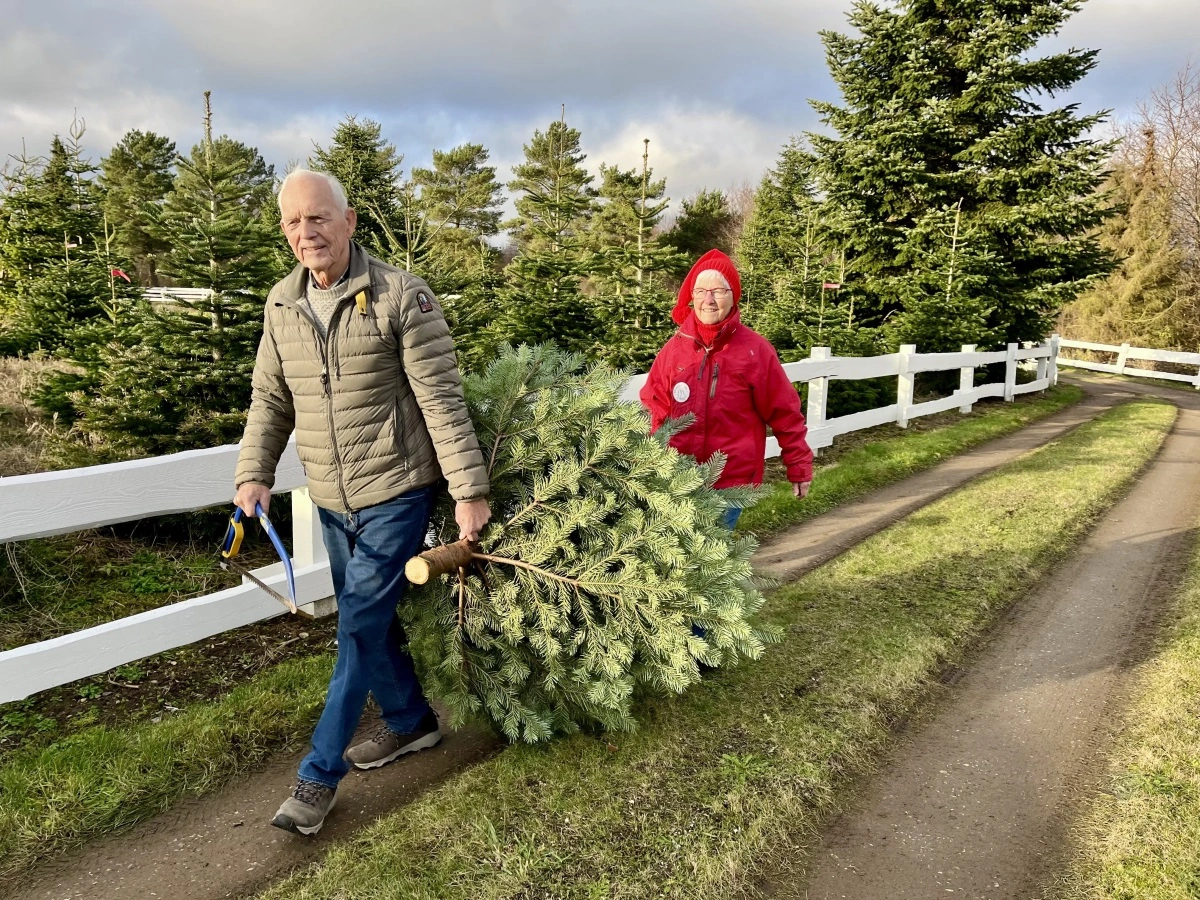 Særligt stemningen og aktiviteterne forbundet med fæld-selv trækker i mange danskere. Foto: Danske Juletræer