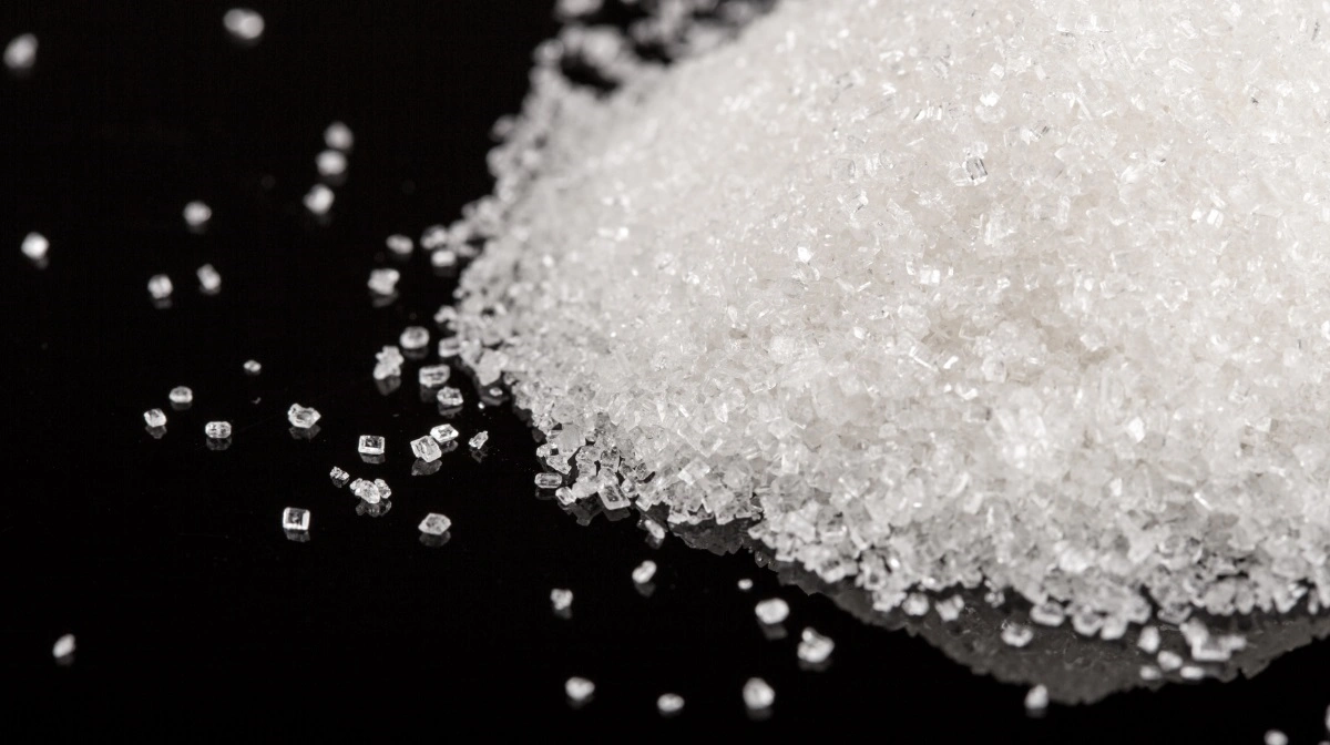 Hvis smågrise selv kan vælge, så foretrækker de almindeligt sukker over laktose, som ellers er den type sukker, som er naturligt forekommende i mælk. Foto: Colourbox