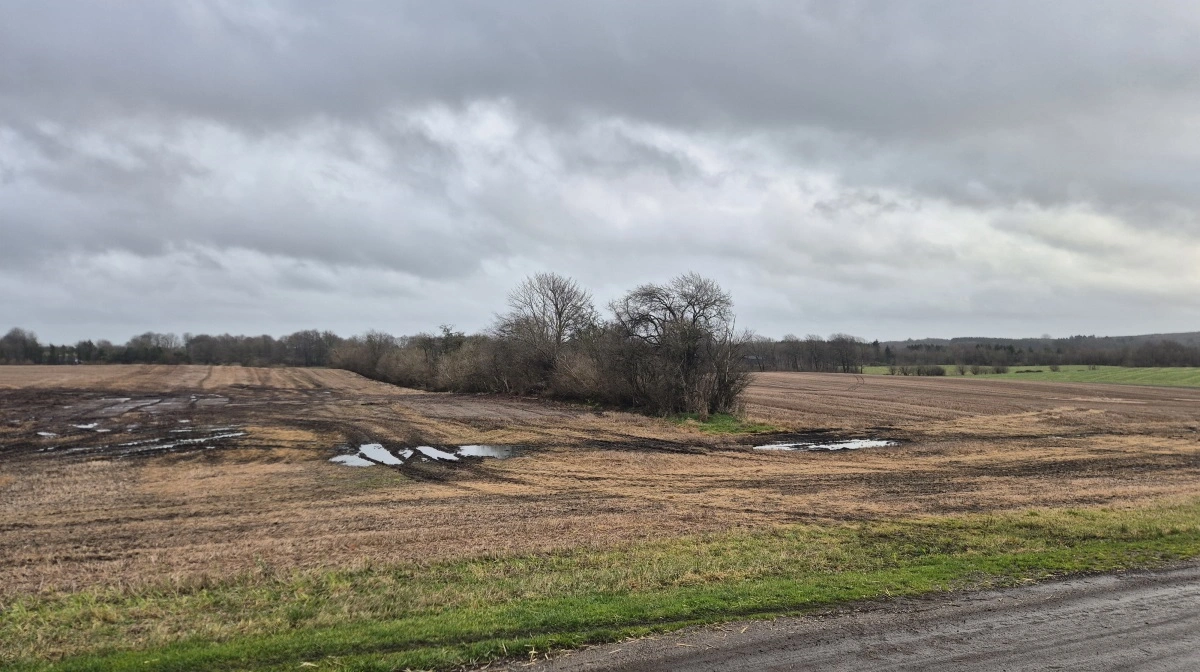 En stor del af de næsten 280 hektar tilhørende Lystbjerggård ligger samlet tæt på bygningerne – en væsentlig årsag til den høje pris, ifølge mæglerne.